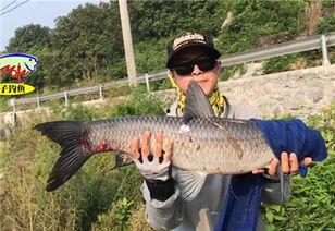 青鱼视频国产3 第3张 青鱼视频国产3 第3张